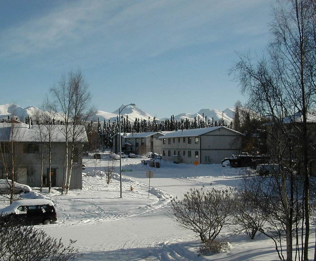 Two months later, winter has settled in