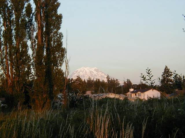 Mt Rainier at sunset from my old neighborhood