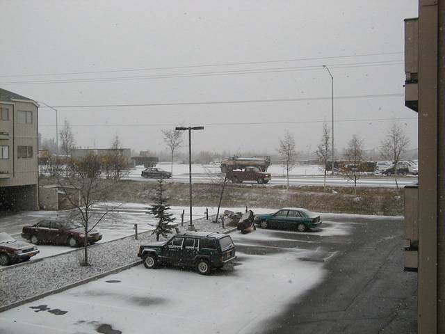 First snowfall, 2000