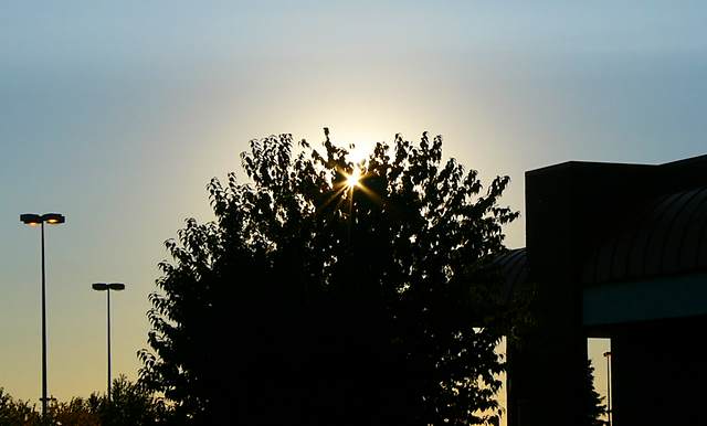 Sunset silhouette near Dimond Center