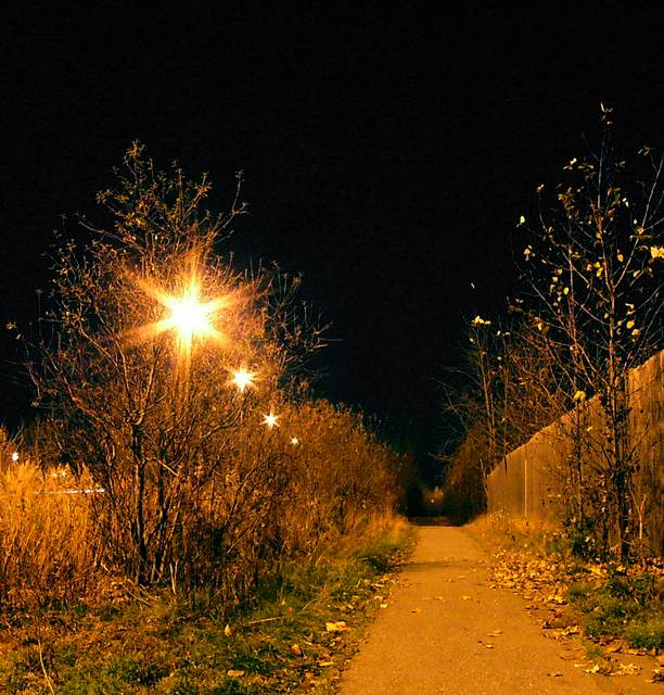 Neighborhood foot path at night