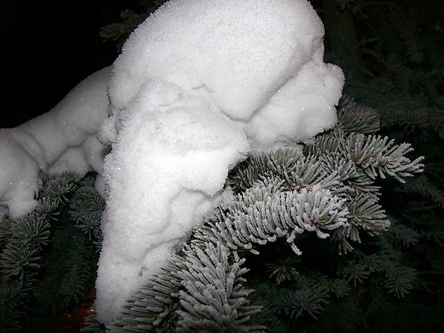 Heavy snow atop hoar frost