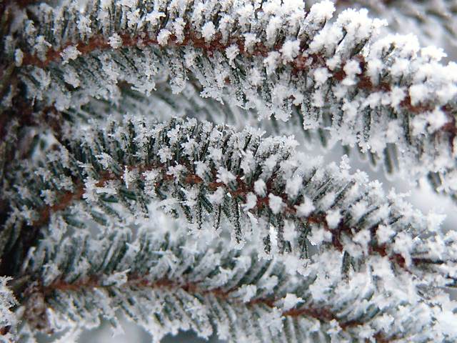More hoar frost