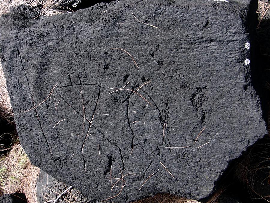 Petroglyphs at MacKenzie State Recreation Area