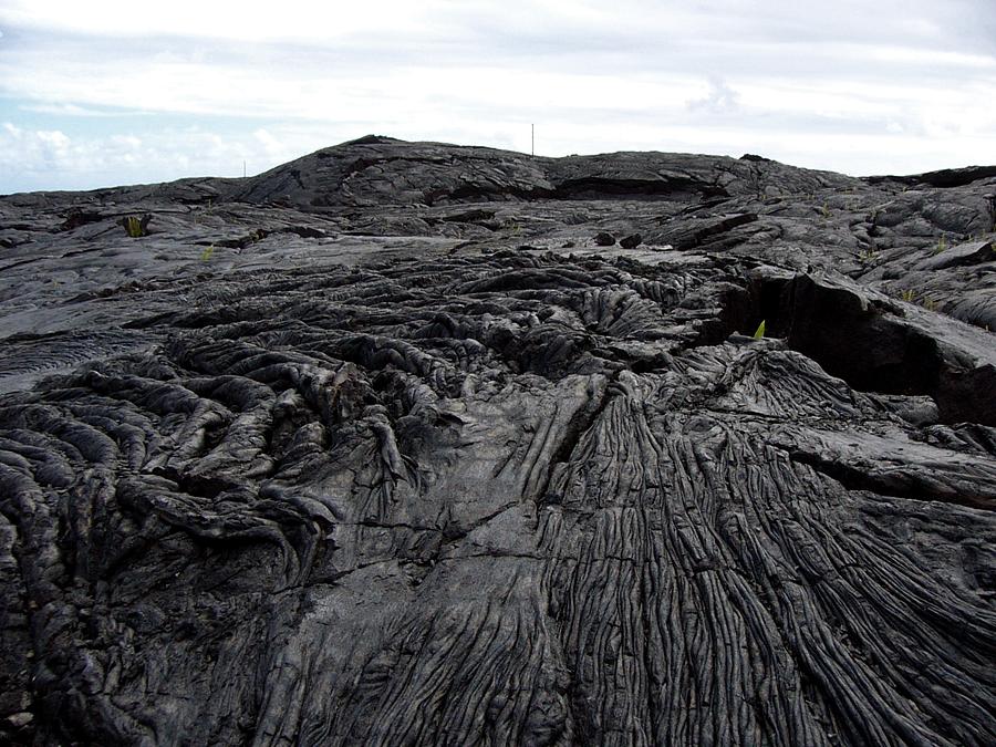 Lava ropes on the Kalapana lava field