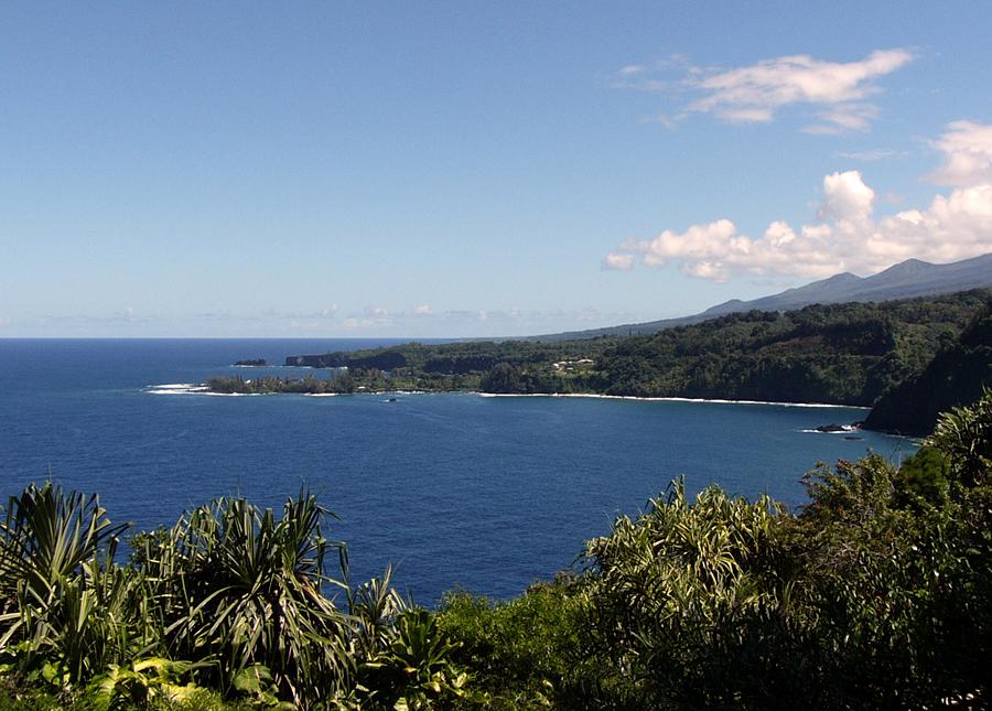 Scenic view from the Road to Hana