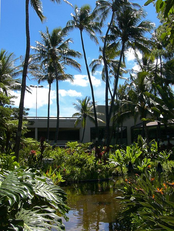 Japanese Garden at Honolulu's Airport