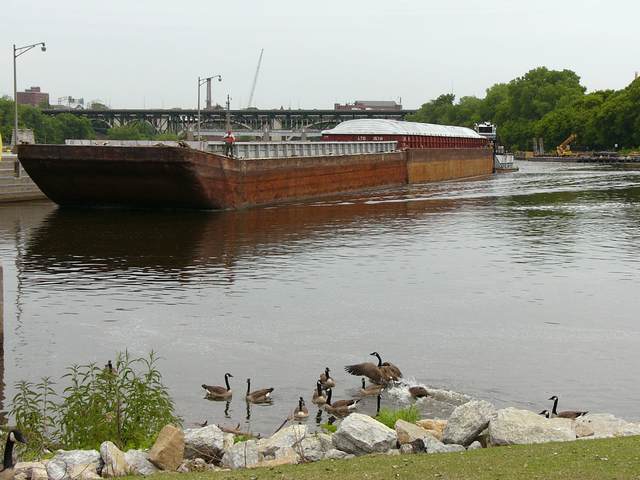 A barge enters the locks, while geese frolic in the foreground