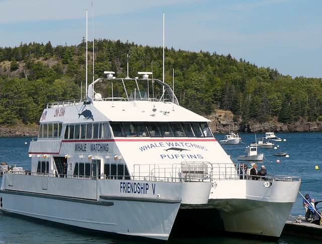 Friendship V - the whale watching boat