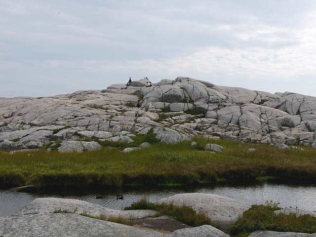 Some of the red granite that dominates the Peggy's Cove area.