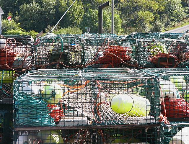 Lobster traps in St Martins