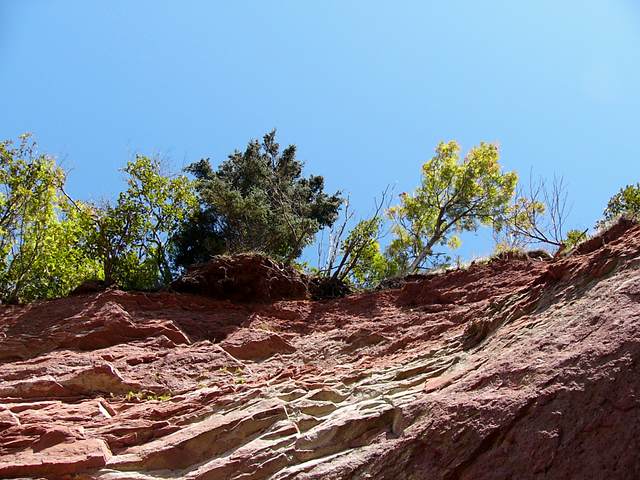 Looking up the cliff wall above the first sea cave.