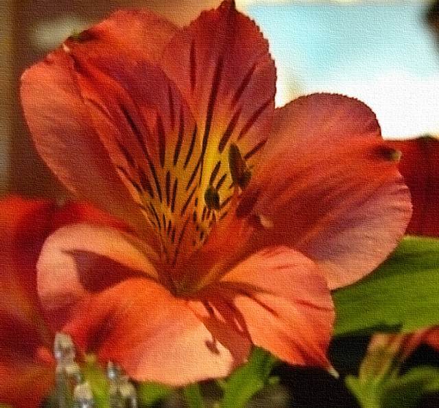 Tabletop flower
