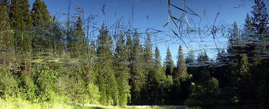 Reflections in the lake where I set up camp (upside-down image)