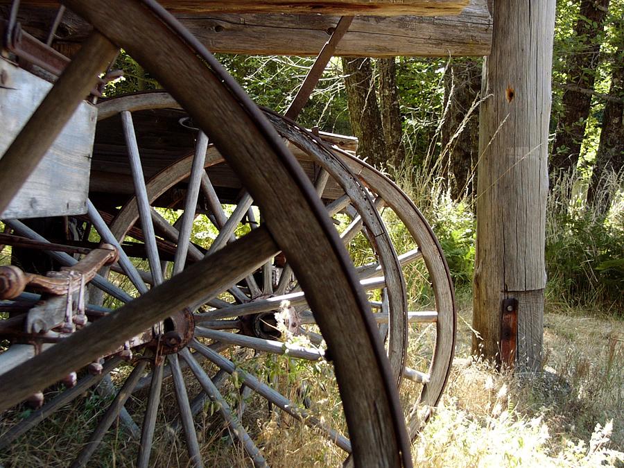 Buggy and wagon wheels