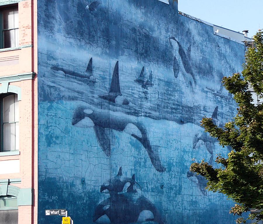 Decaying Wyland mural