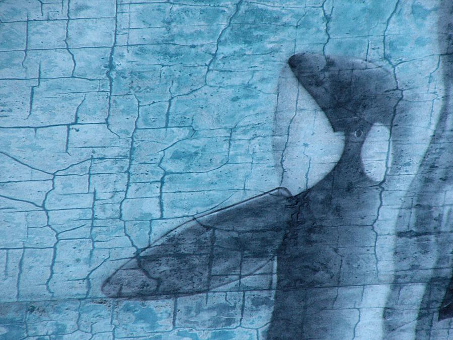 Closeup detail on the deteriorating Wyland mural.