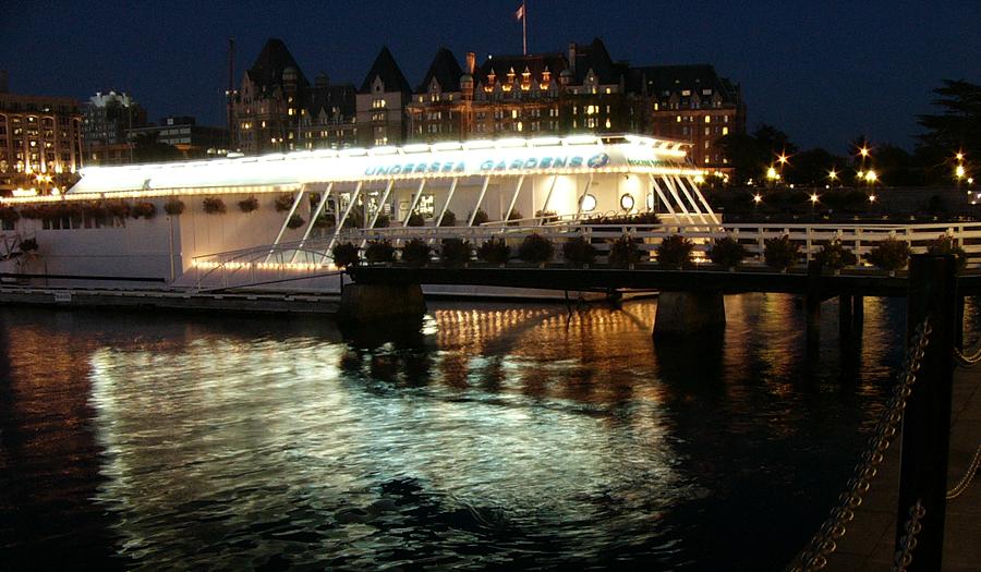 Undersea Gardens at night