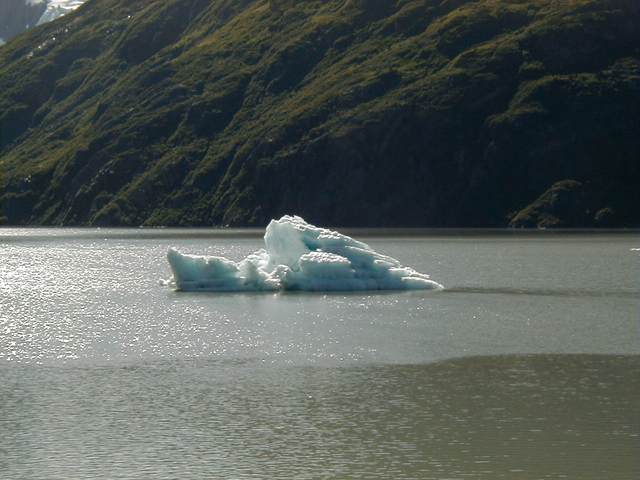 Iceberg closeup in Portage Lake