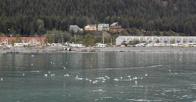 Leaving Seward, with kittiwakes in the foreground