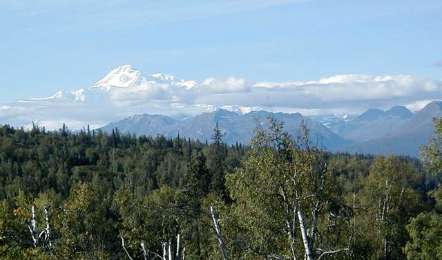 Denali from the deck behind the Princess Mt McKinley Wilderness Lodge