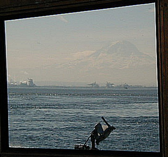 Mt Rainier Reflection